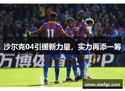 沙尔克04引援新力量，实力再添一筹