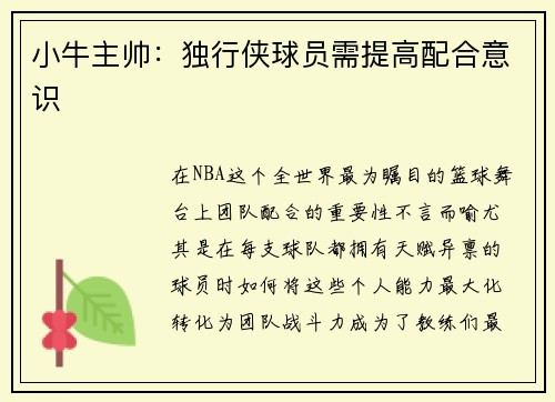小牛主帅：独行侠球员需提高配合意识